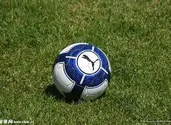 孫興慜有望,對決利物浦,長期傷患本,乐竞体育,乐竞体育官网,乐竞体育平台,乐竞体育集团,乐竞体育集团