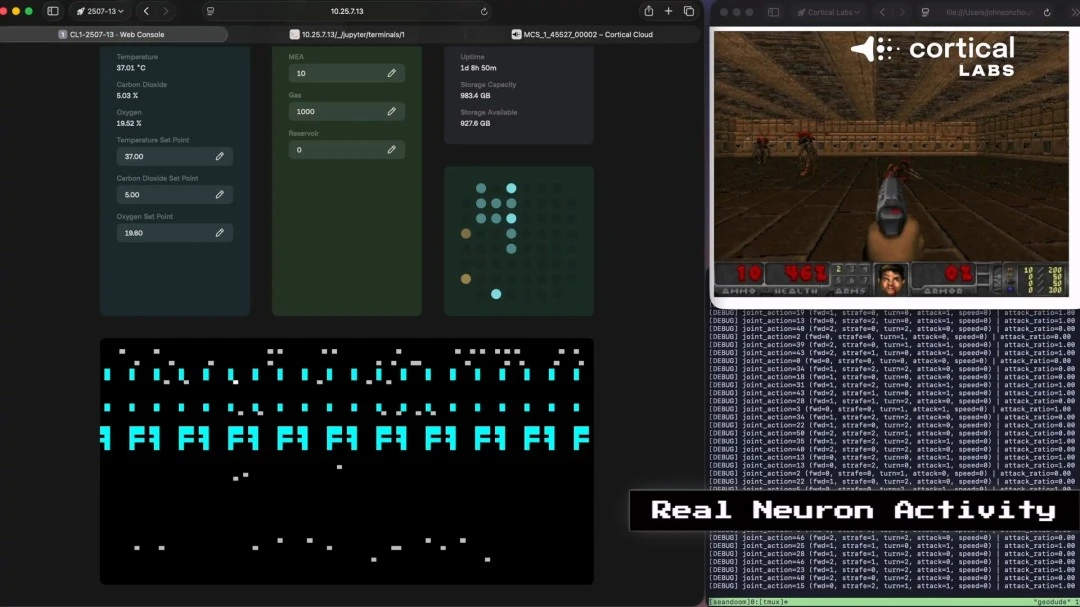 激战全日,虎将再展雄,昨夜墨超巅,乐竞体育,乐竞体育官网,乐竞体育平台,乐竞体育集团,乐竞体育集团